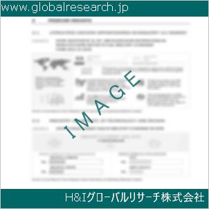 グローバルリサーチ調査資料のイメージ